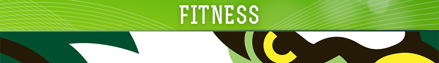 Fitness at Life University